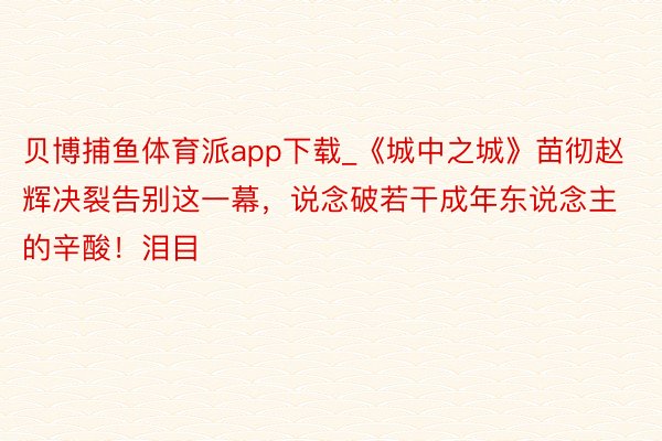 贝博捕鱼体育派app下载_《城中之城》苗彻赵辉决裂告别这一幕，说念破若干成年东说念主的辛酸！泪目