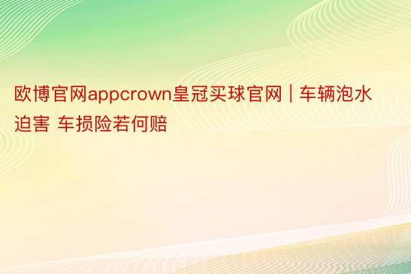 欧博官网appcrown皇冠买球官网 | 车辆泡水迫害 车损险若何赔