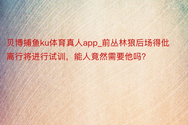 贝博捕鱼ku体育真人app_前丛林狼后场得仳离行将进行试训，能人竟然需要他吗？